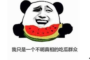 吃瓜在线什么意思,网络热词背后的文化现象